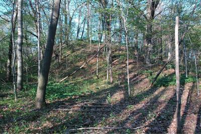 North Crystal Road Benton Harbor, MI 49022 - Photo 3 of 7 Additional Photo