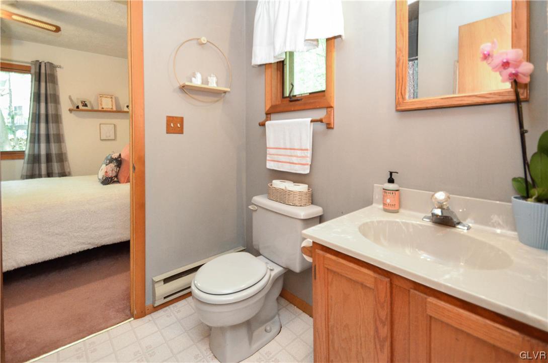 208 Regent Street Bushkill, PA 18324 - Photo 20 of 37 a bathroom with a sink a toilet and shower