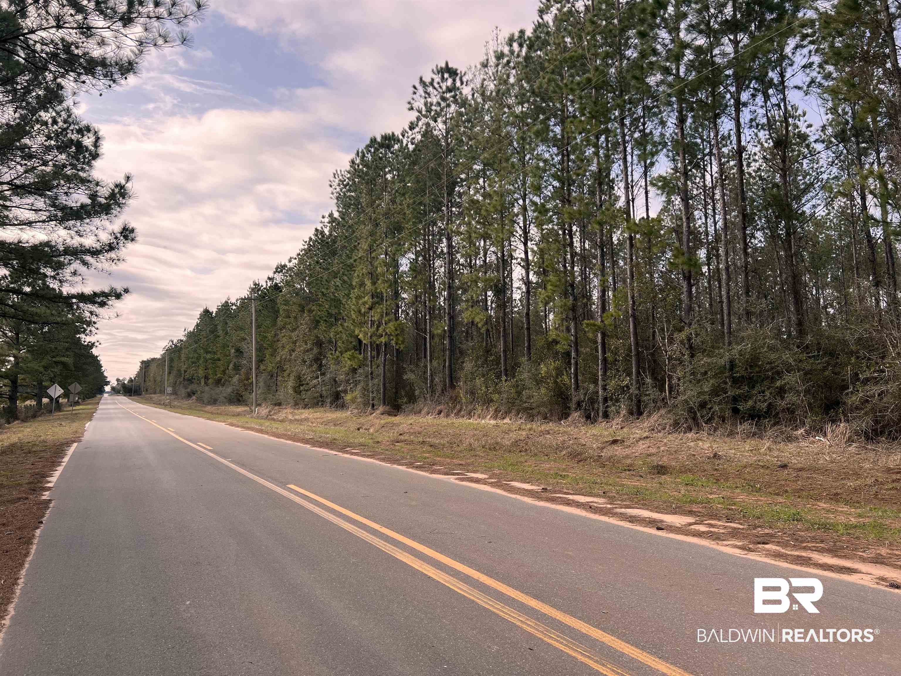 0 Comstock Road Elberta, AL 36530 - Photo 2 of 3 View of street