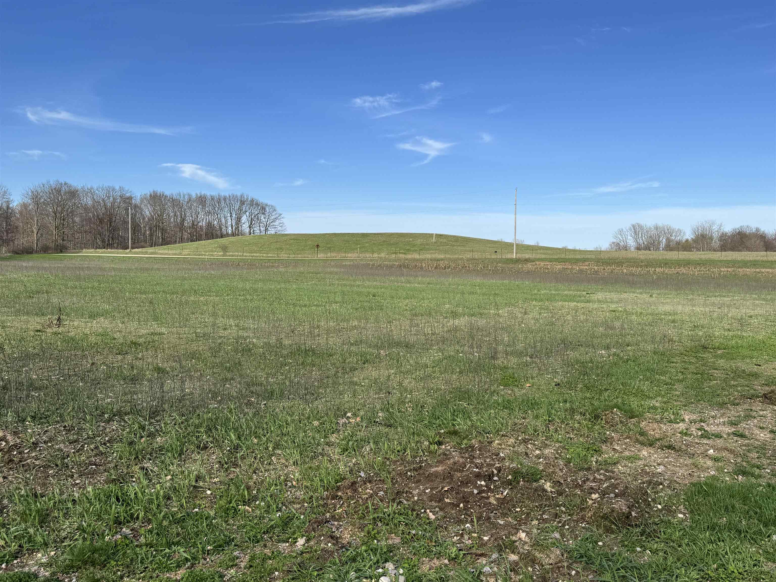 7765 North Summerton Road Clare, MI 48617 - Photo 6 of 21