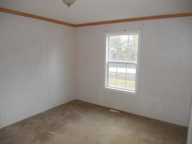7409 Trouble Road Willow Spring, NC 27592 - Photo 10 of 12 Photo 10