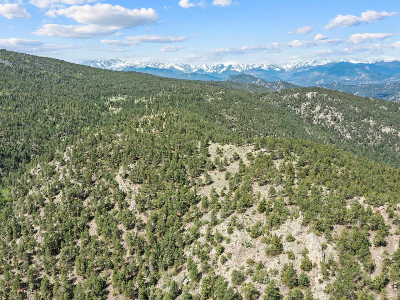 1825 Soul Shine Road Drake, CO 80515 - Photo 28 of 34