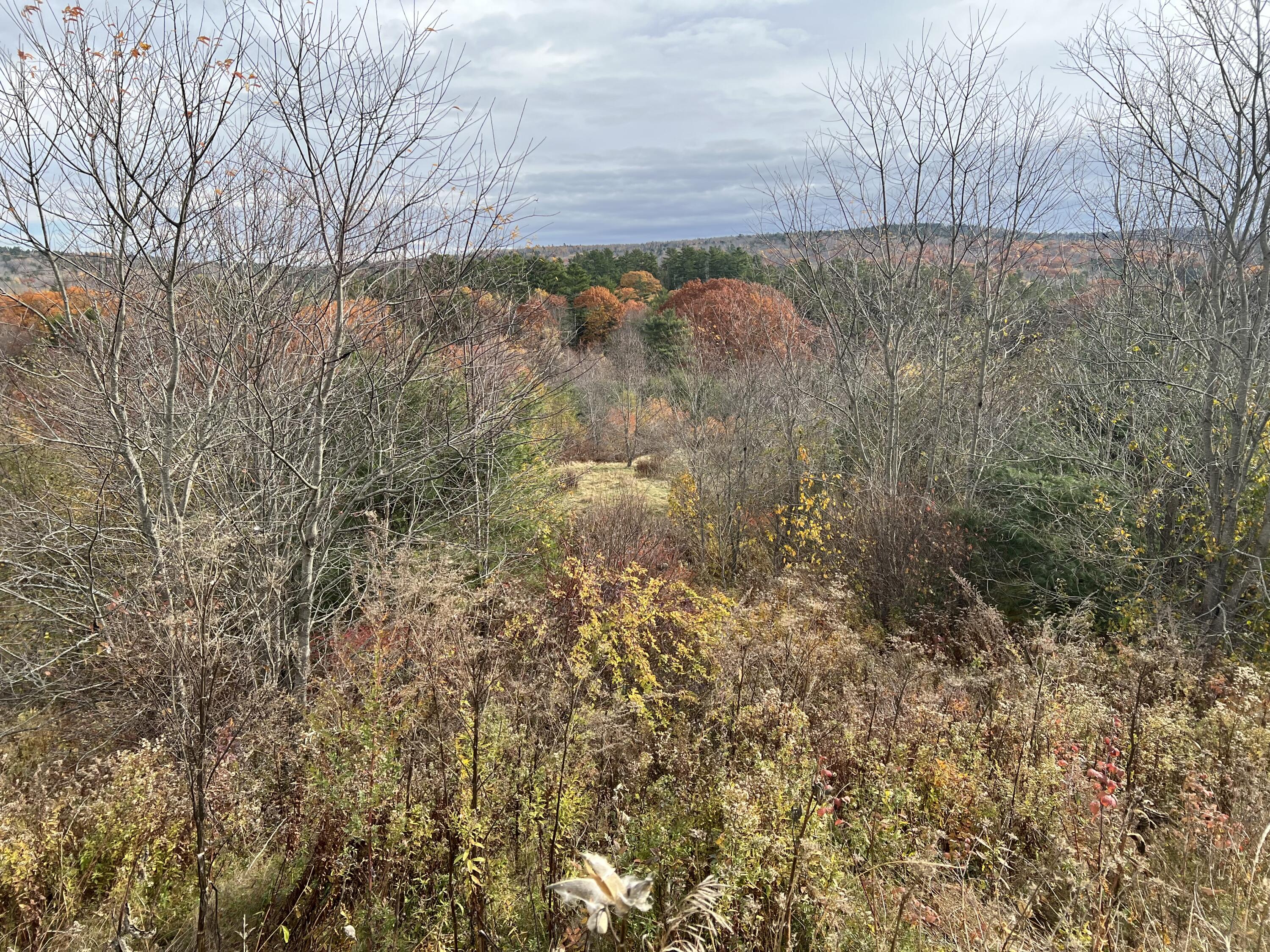 0 Bangor Road Prospect, ME 04981 - Photo 2 of 10 IMG_8022