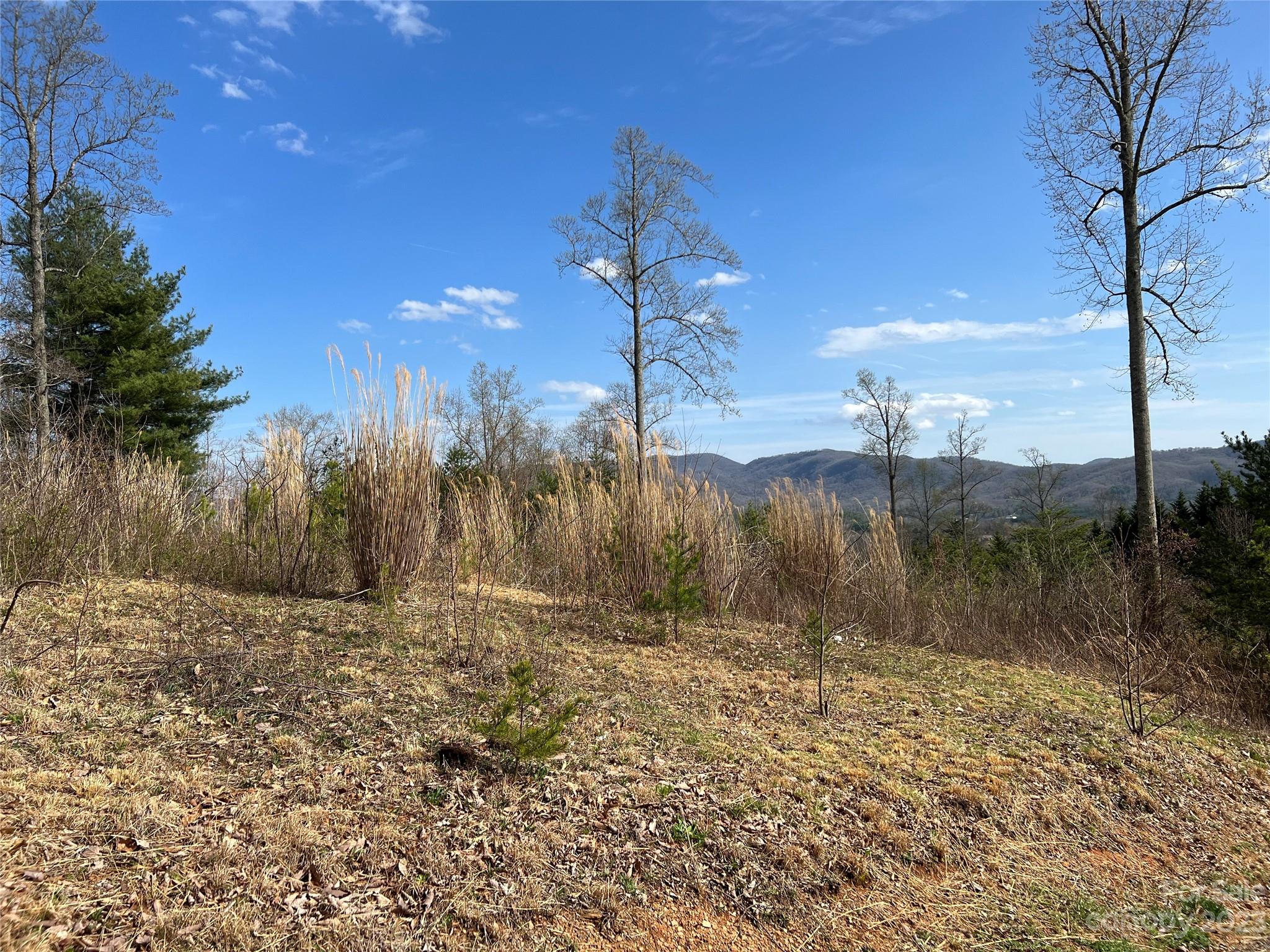 139 Sharon Ridge Court Fairview, NC 28730 - Photo 6 of 9 Gallery Image 6