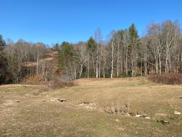 Tbd Teaberry Road Roan Mountain, TN 37687 - Photo 3 of 32 IMG_1360