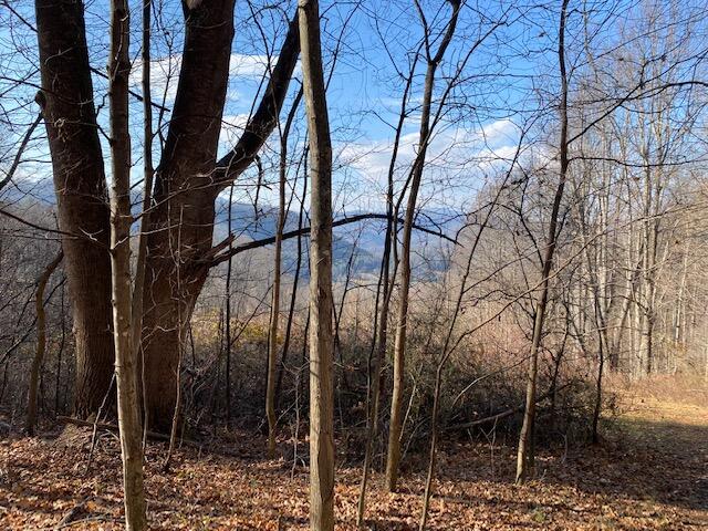Tbd Teaberry Road Roan Mountain, TN 37687 - Photo 8 of 32 IMG_1365