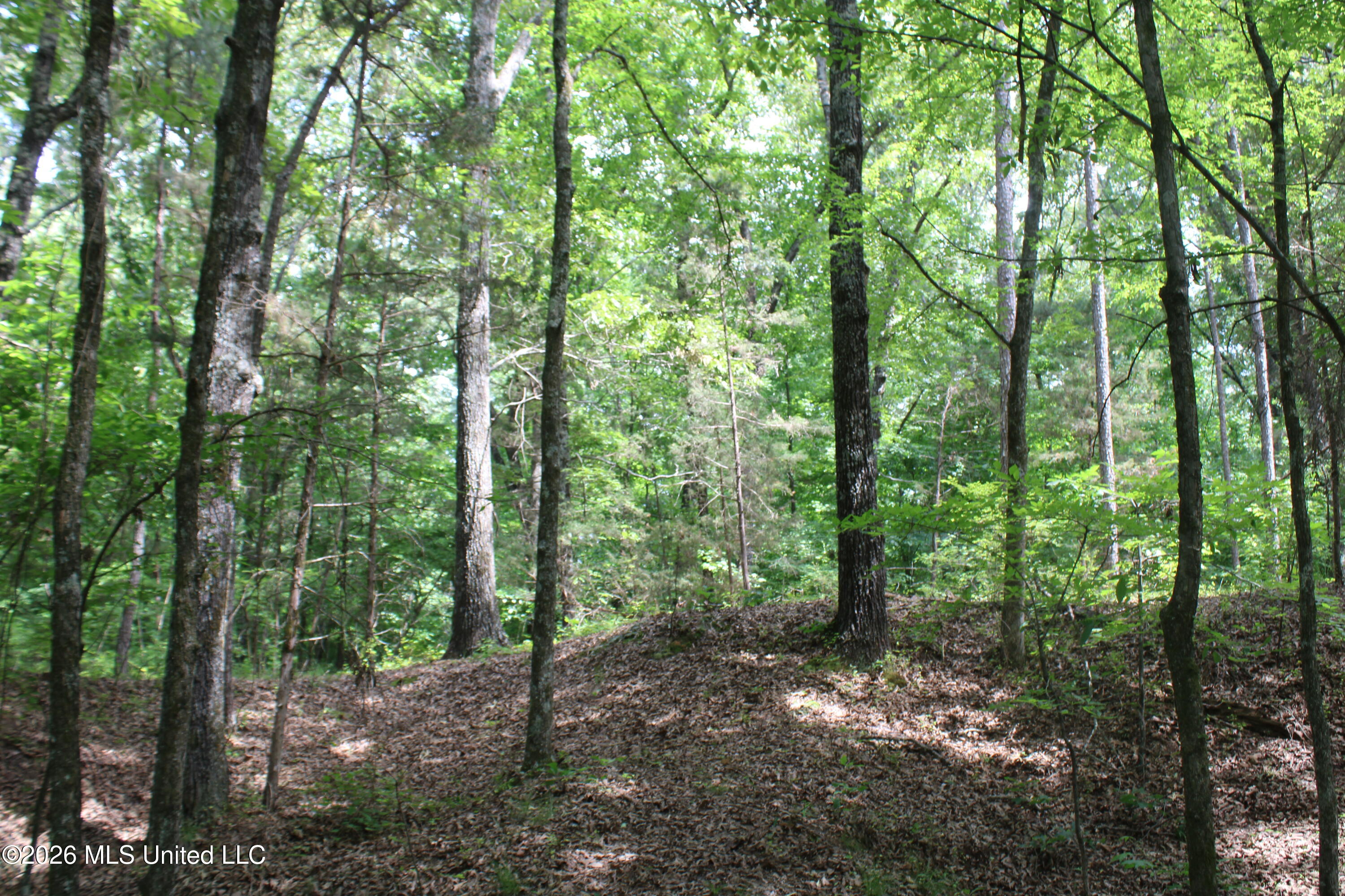 500 Boswell Road Holly Springs, MS 38635 - Photo 22 of 23 IMG_7810