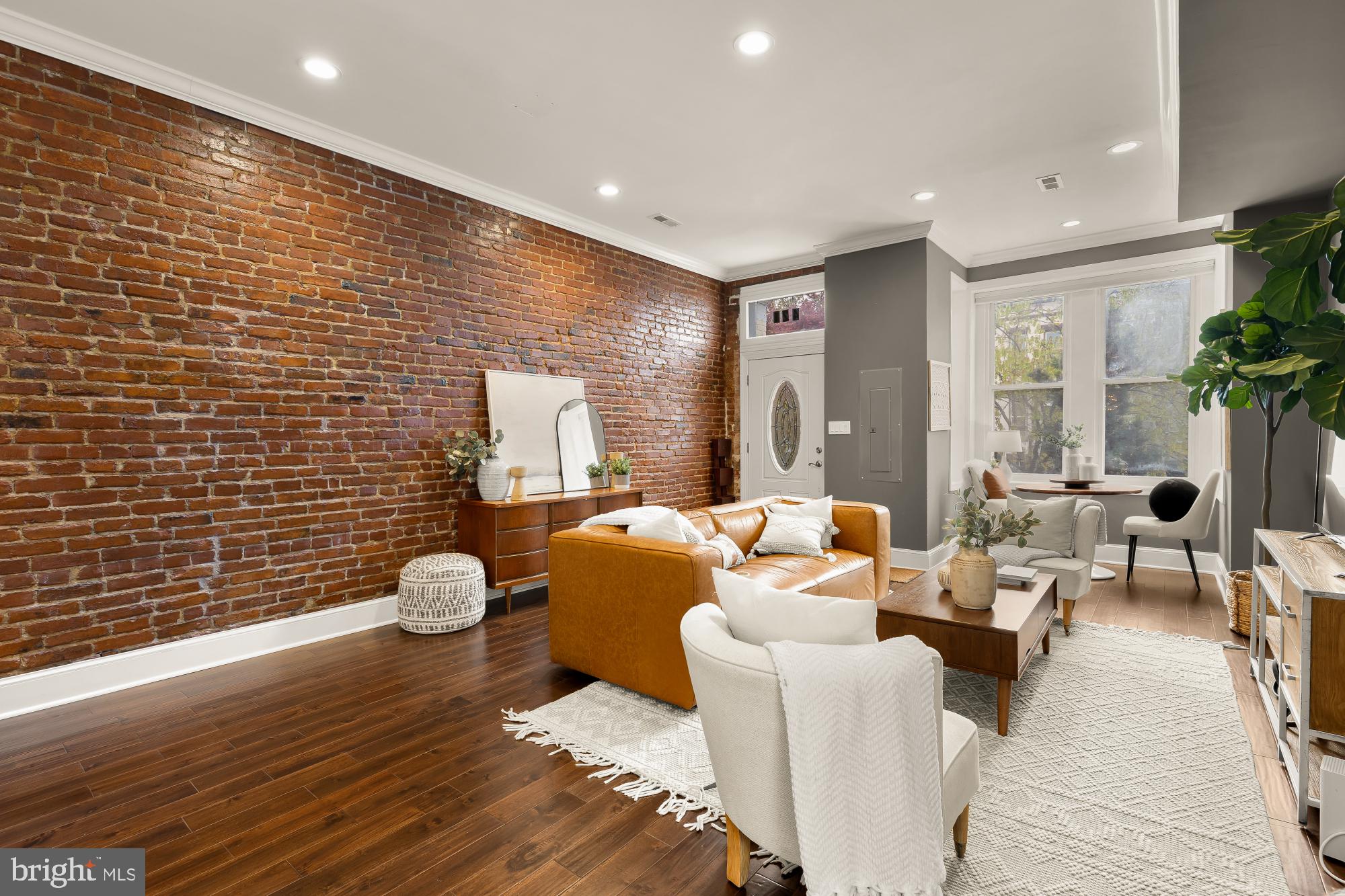 421 10th Street Northeast Washington, DC 20002 - Photo 11 of 61 a living room with furniture and a potted plant