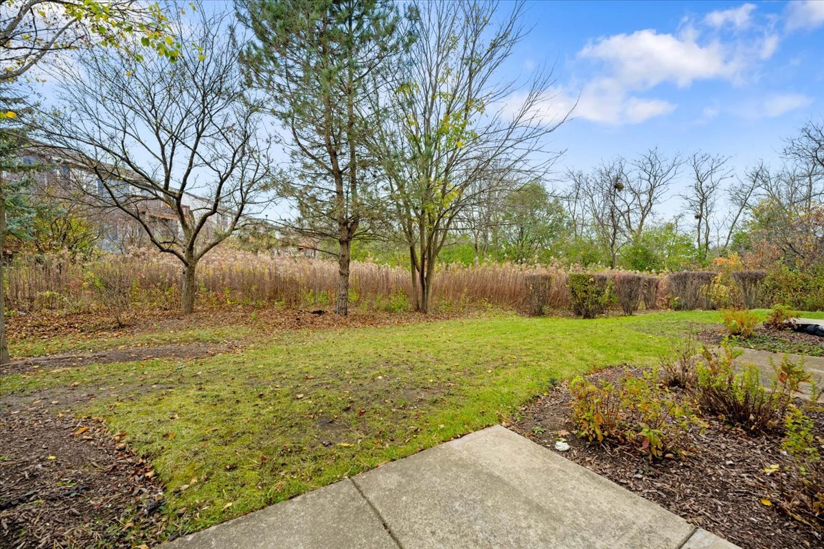 959 Genesee Drive Naperville, IL 60563 - Photo 19 of 21