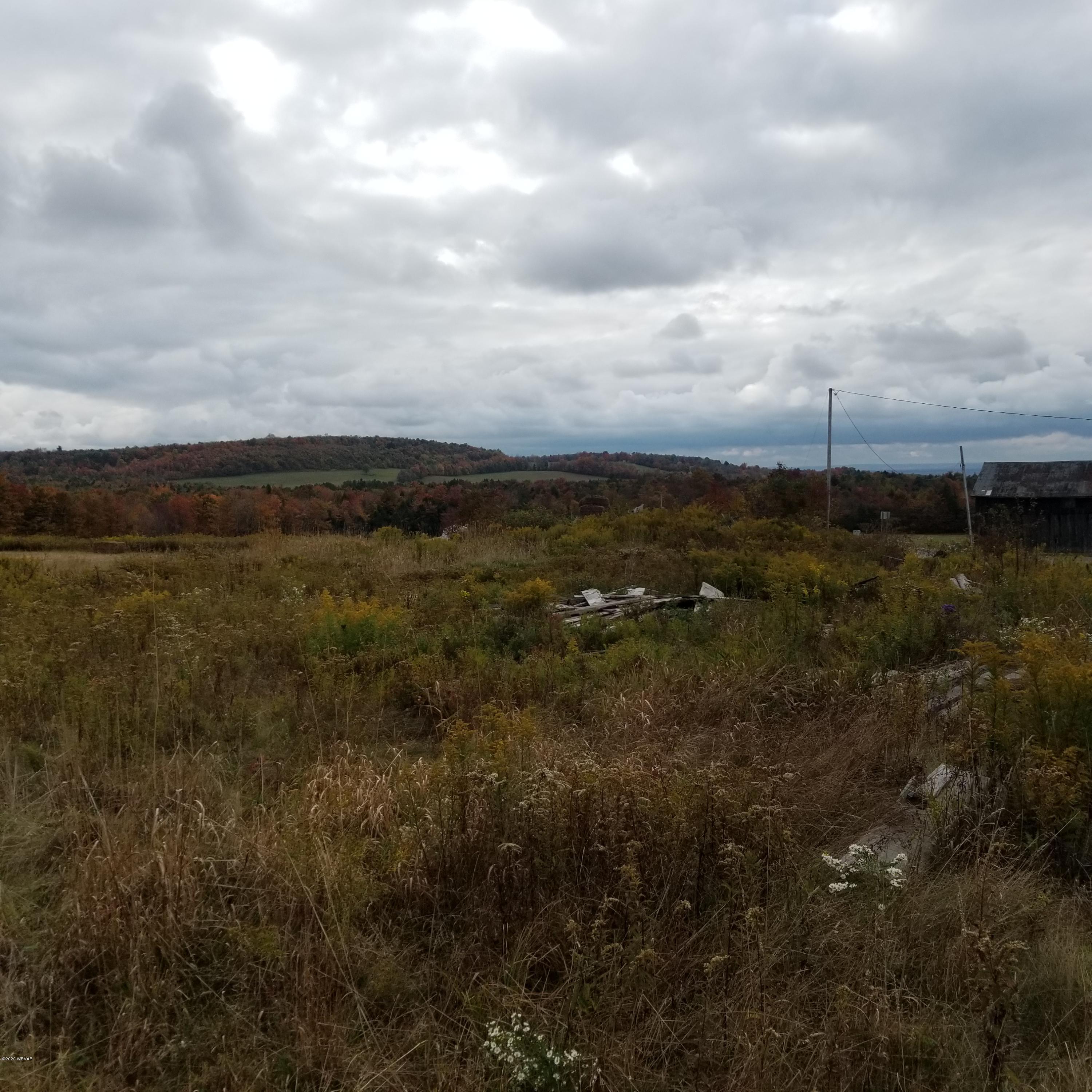 Mountain Road, Unit 5 Dushore, PA 18614 - Photo 2 of 9 Gallery Image 2