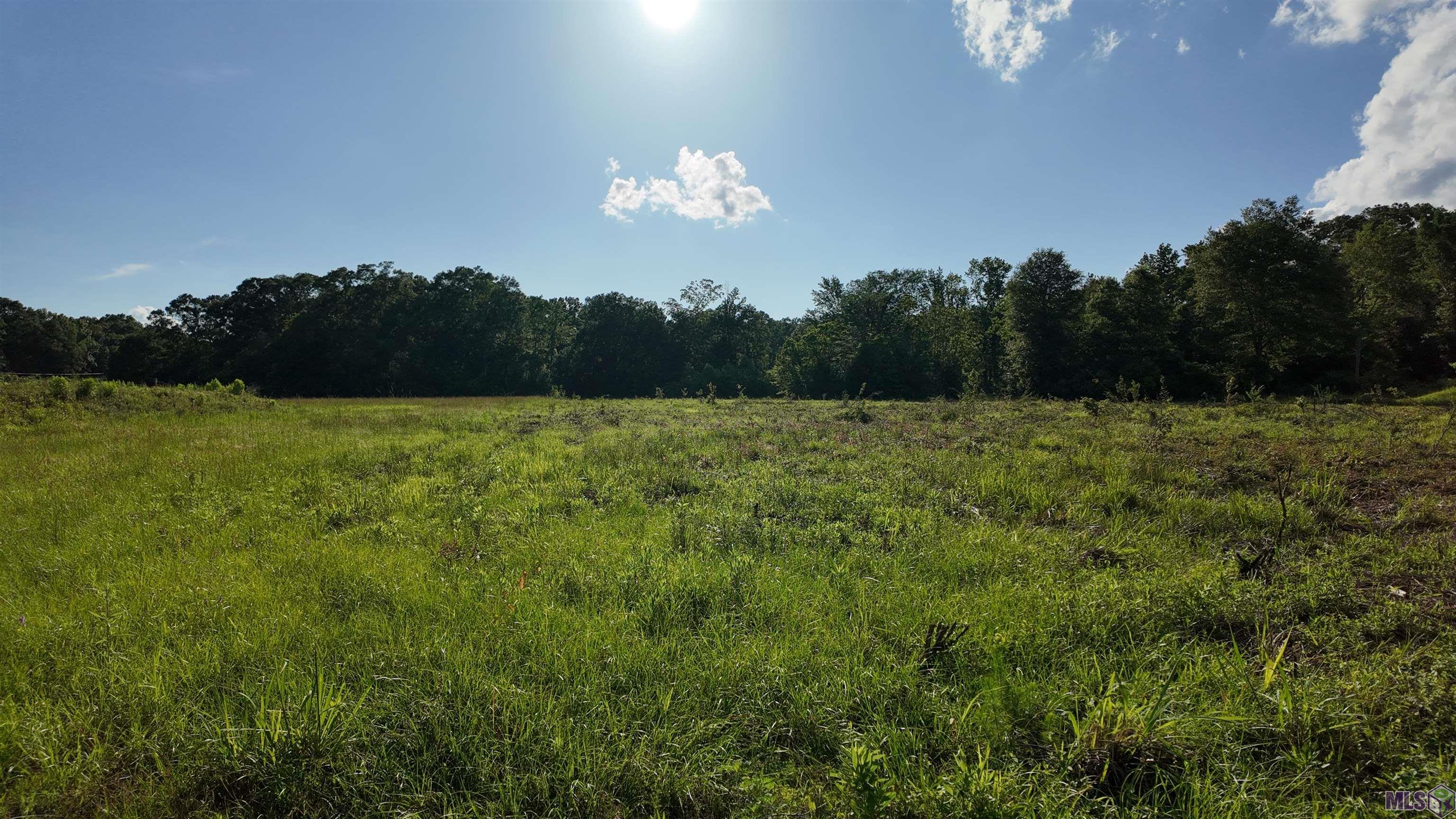 Tbd Old Baker Zachary Road Baker, LA 70714 - Photo 5 of 6