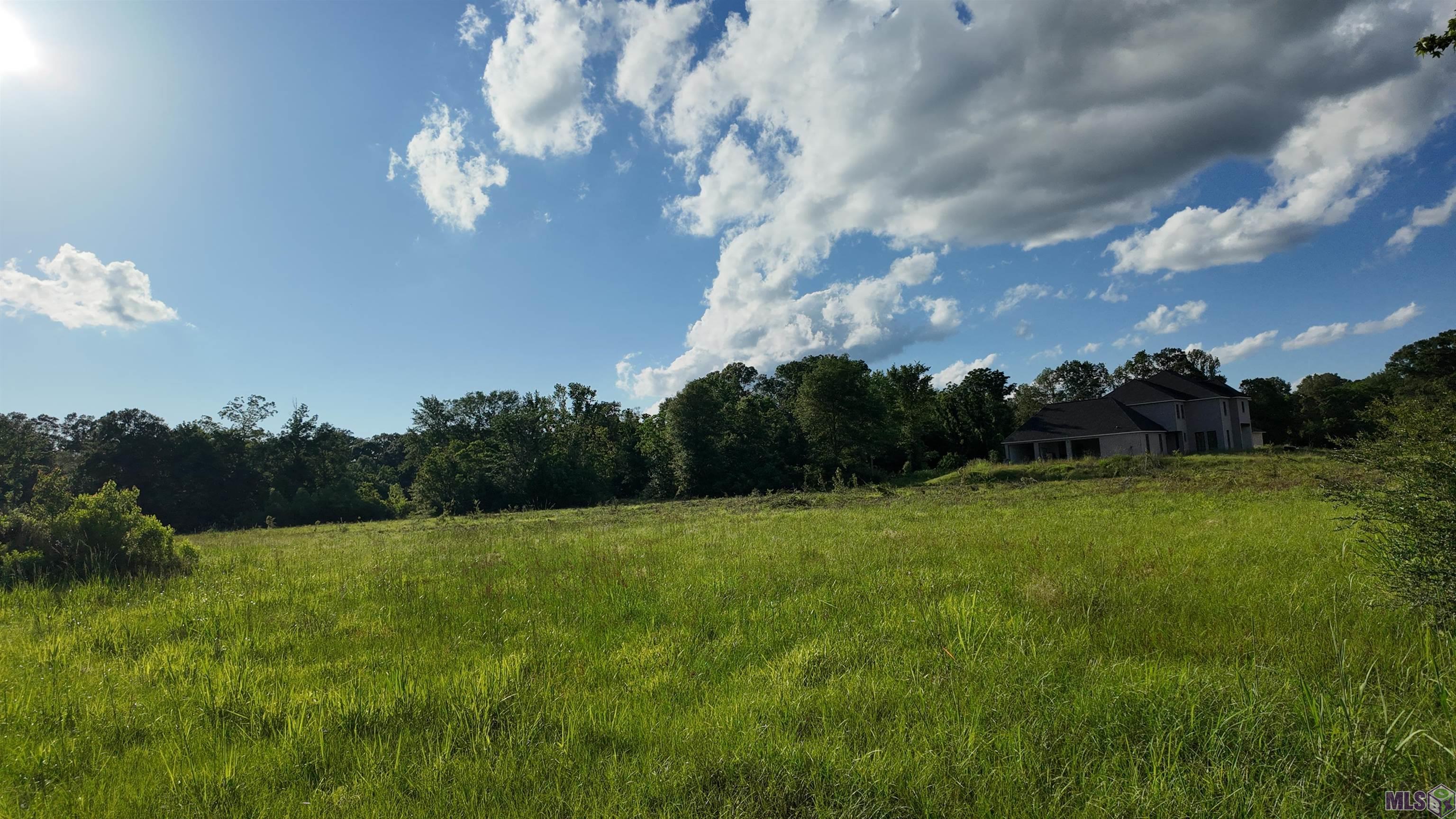 Tbd Old Baker Zachary Road Baker, LA 70714 - Photo 6 of 6