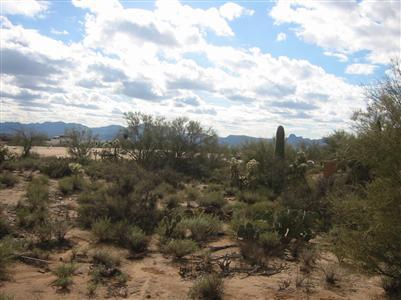 4385 West Cloud Ranch Place Marana, AZ 85658 - Photo 9 of 10