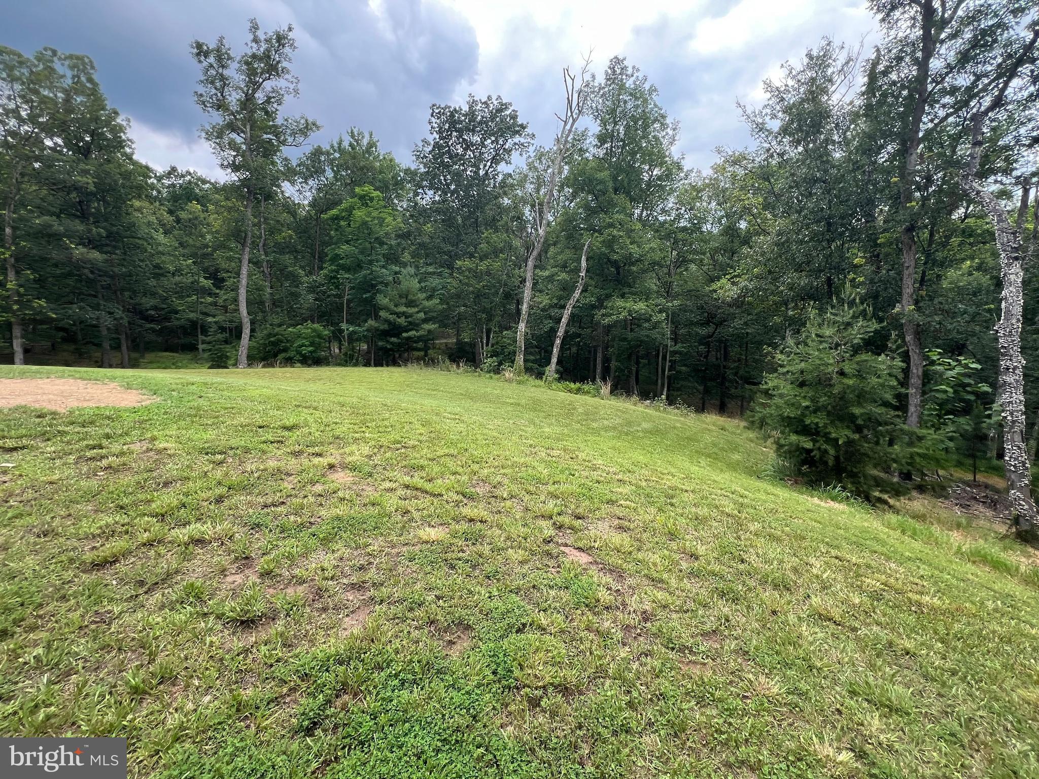 853 Janes Way High View, WV 26808 - Photo 22 of 35 a view of a field with a tree