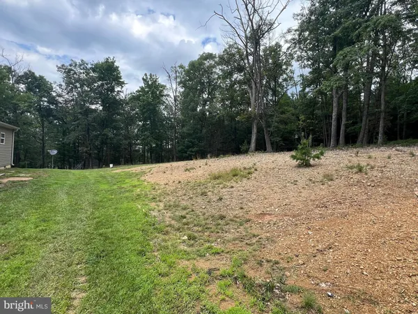 a view of side of a yard with trees