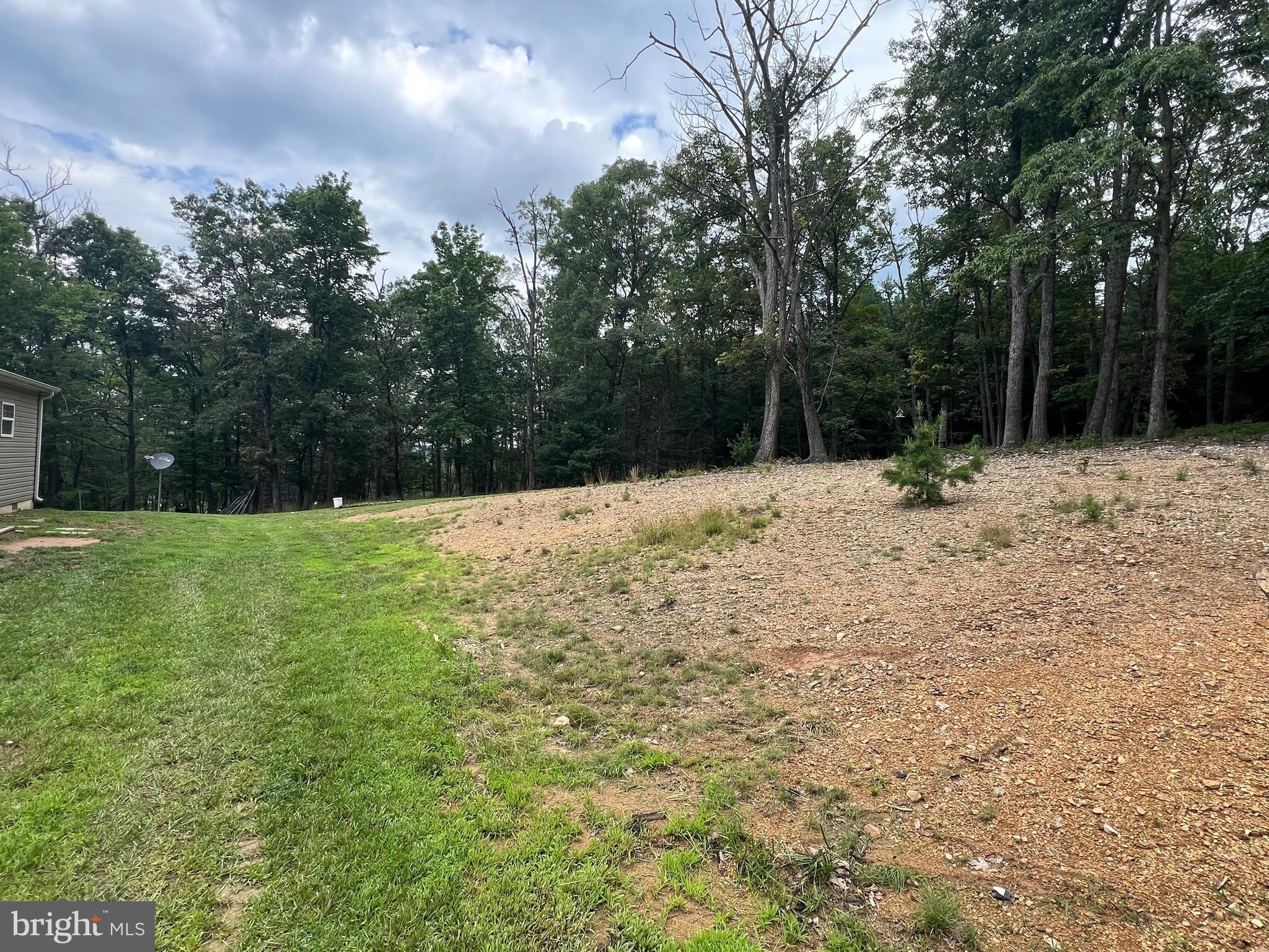 853 Janes Way High View, WV 26808 - Photo 25 of 35 a view of side of a yard with trees