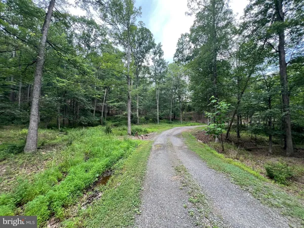 a view of backyard with green space