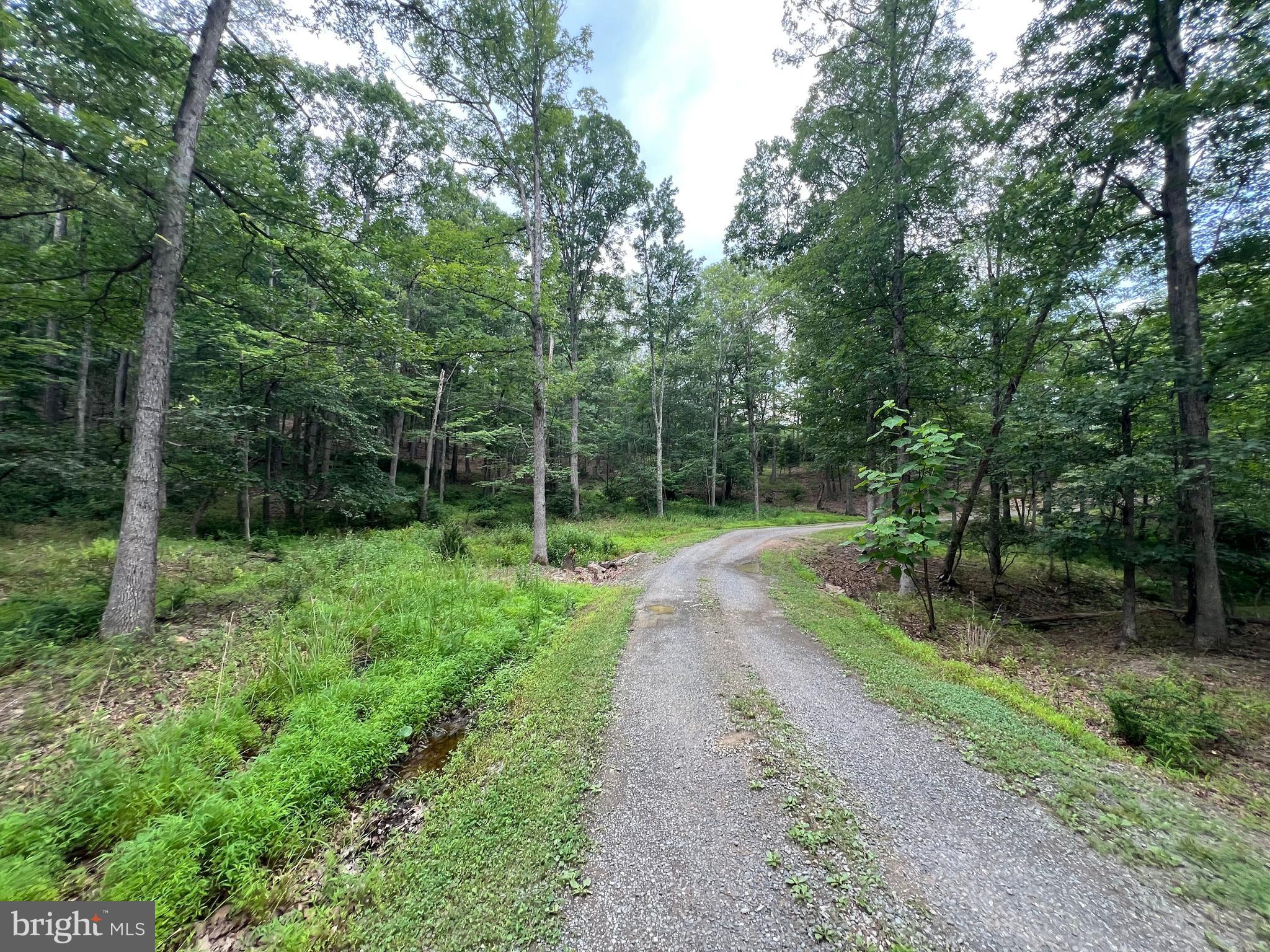 853 Janes Way High View, WV 26808 - Photo 28 of 35 a view of backyard with green space