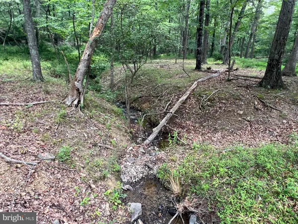 a view of outdoor space with lots of trees
