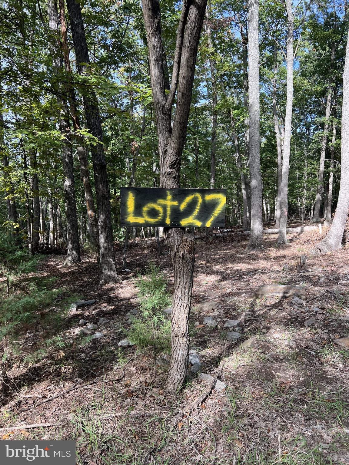 853 Janes Way High View, WV 26808 - Photo 32 of 35 a view of a park with large trees
