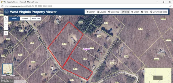 view of a building with a tree