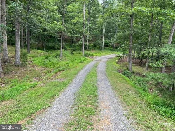 a view of a park with large trees