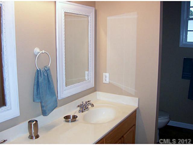 790 Mason Dickson Road York, SC 29745 - Photo 9 of 13 a bathroom with a sink and a mirror