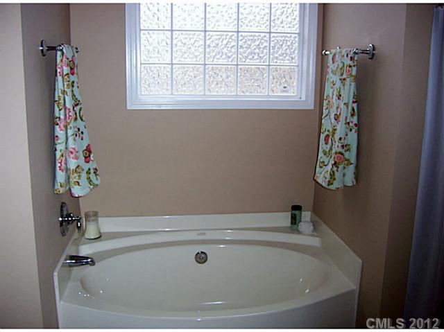 790 Mason Dickson Road York, SC 29745 - Photo 10 of 13 a bathroom with a bathtub