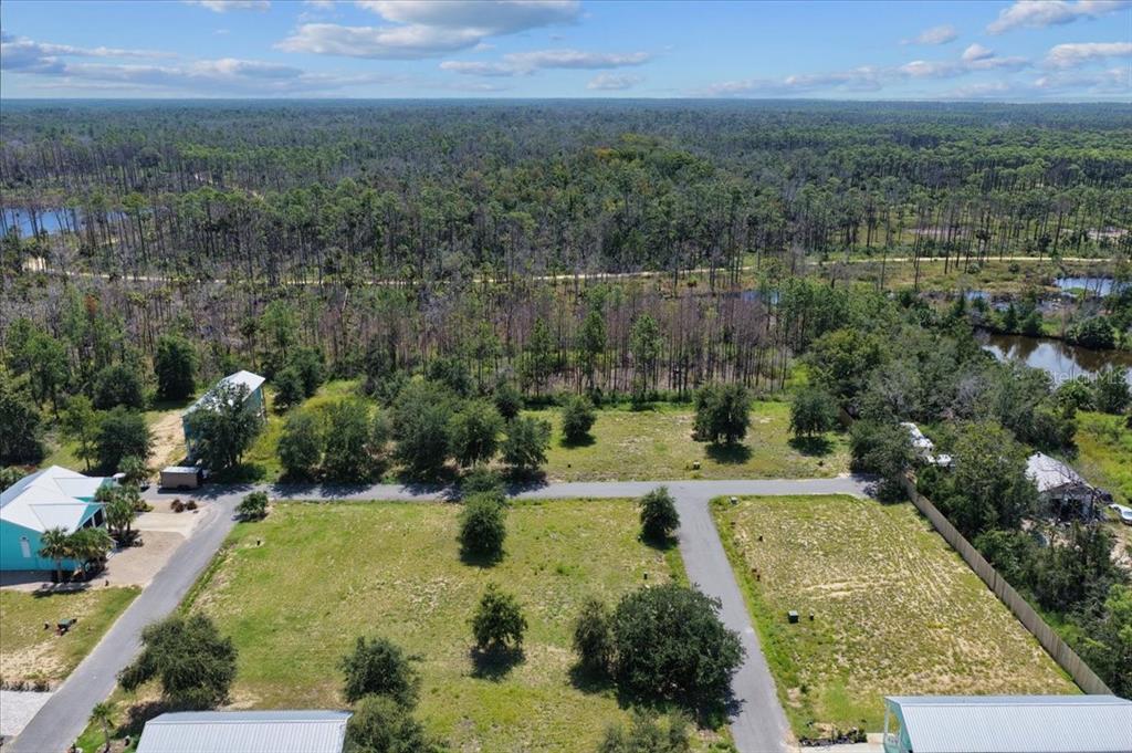 0 Southwest 869th Loop Steinhatchee, FL 32359 - Photo 13 of 14 a view of a yard with an outdoor space
