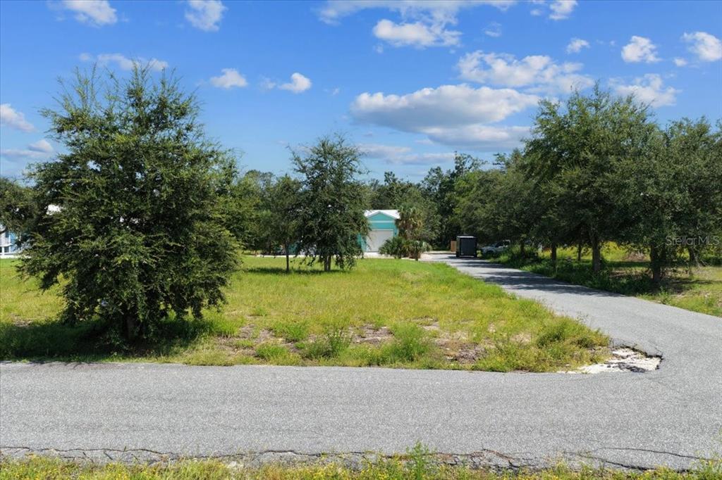 0 Southwest 869th Loop Steinhatchee, FL 32359 - Photo 2 of 14 a view of a garden with a pathway