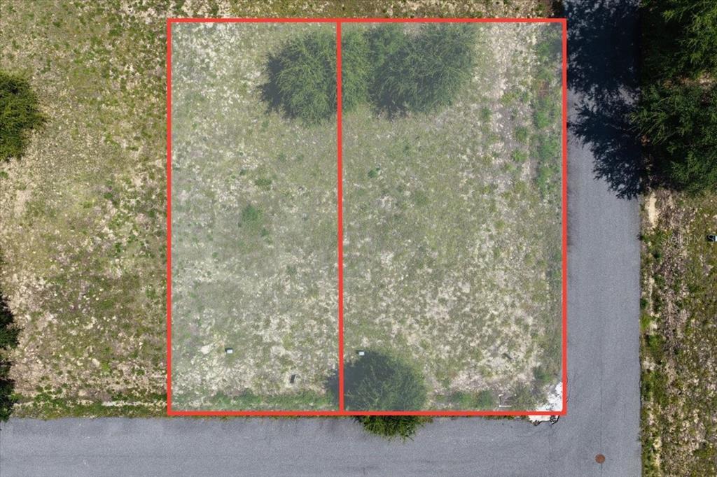 0 Southwest 869th Loop Steinhatchee, FL 32359 - Photo 5 of 14