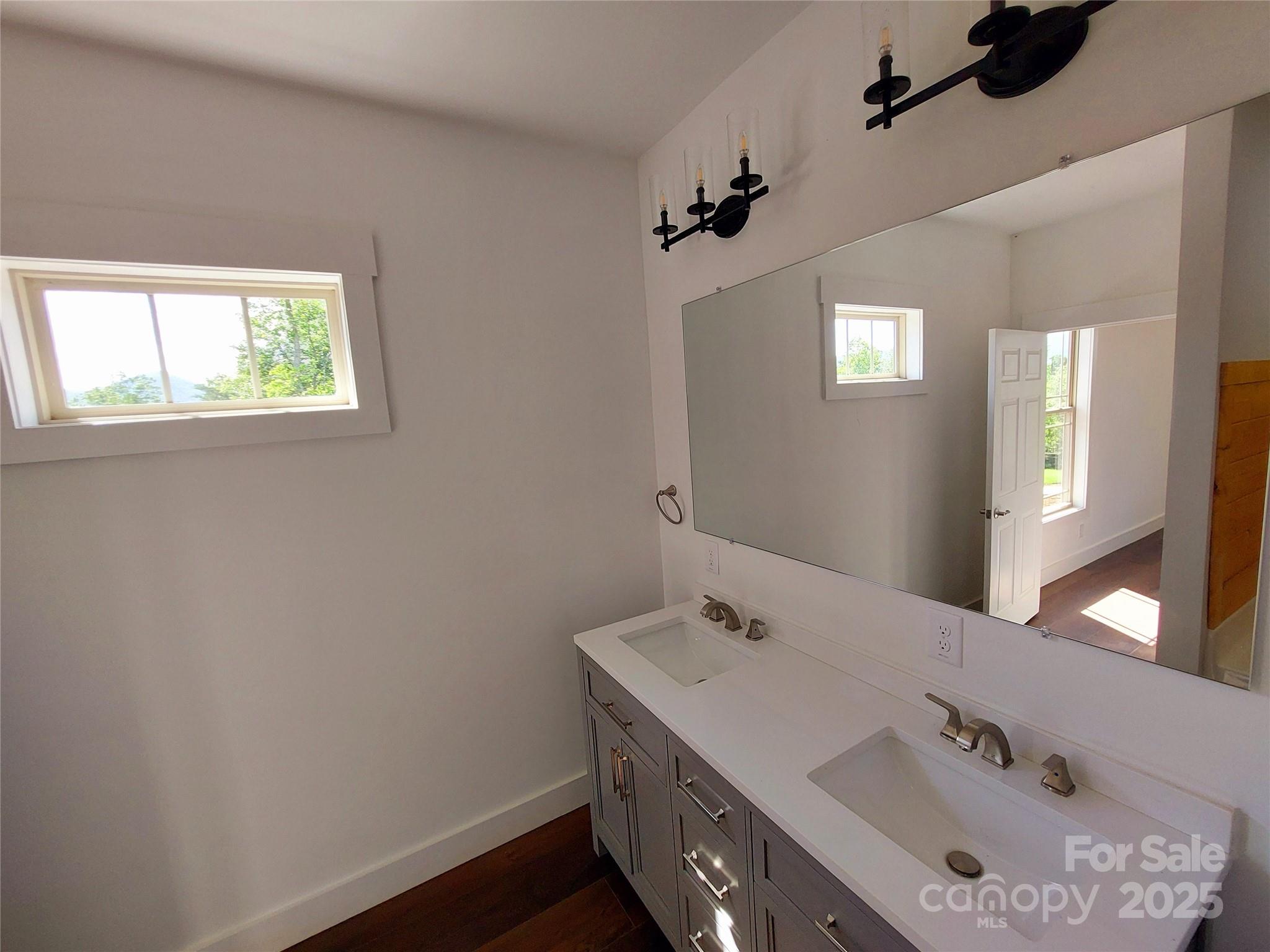 401 Constant Lane Columbus, NC 28722 - Photo 22 of 24 a bathroom with a sink and a mirror