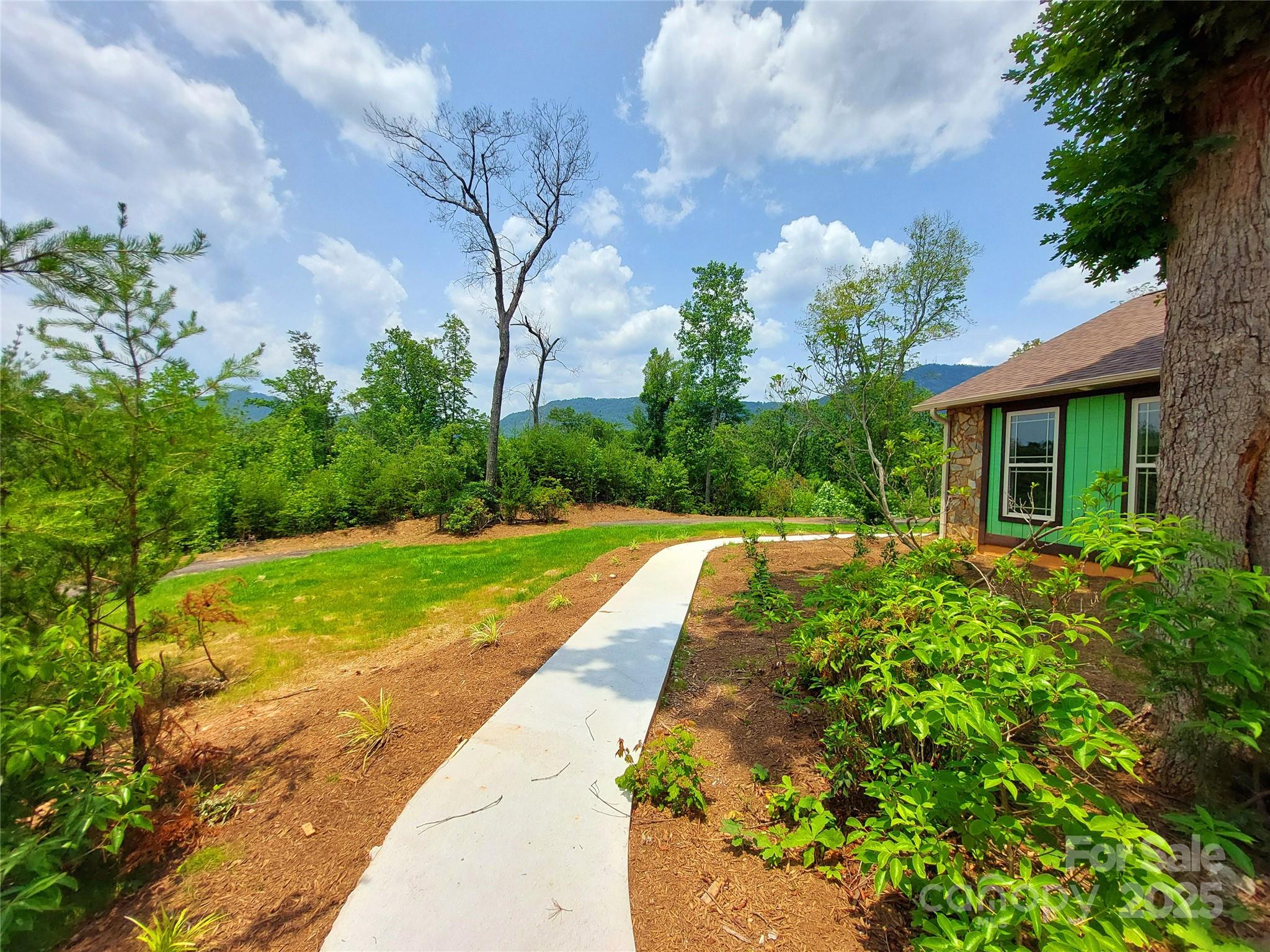 401 Constant Lane Columbus, NC 28722 - Photo 5 of 24 a view of backyard with garden