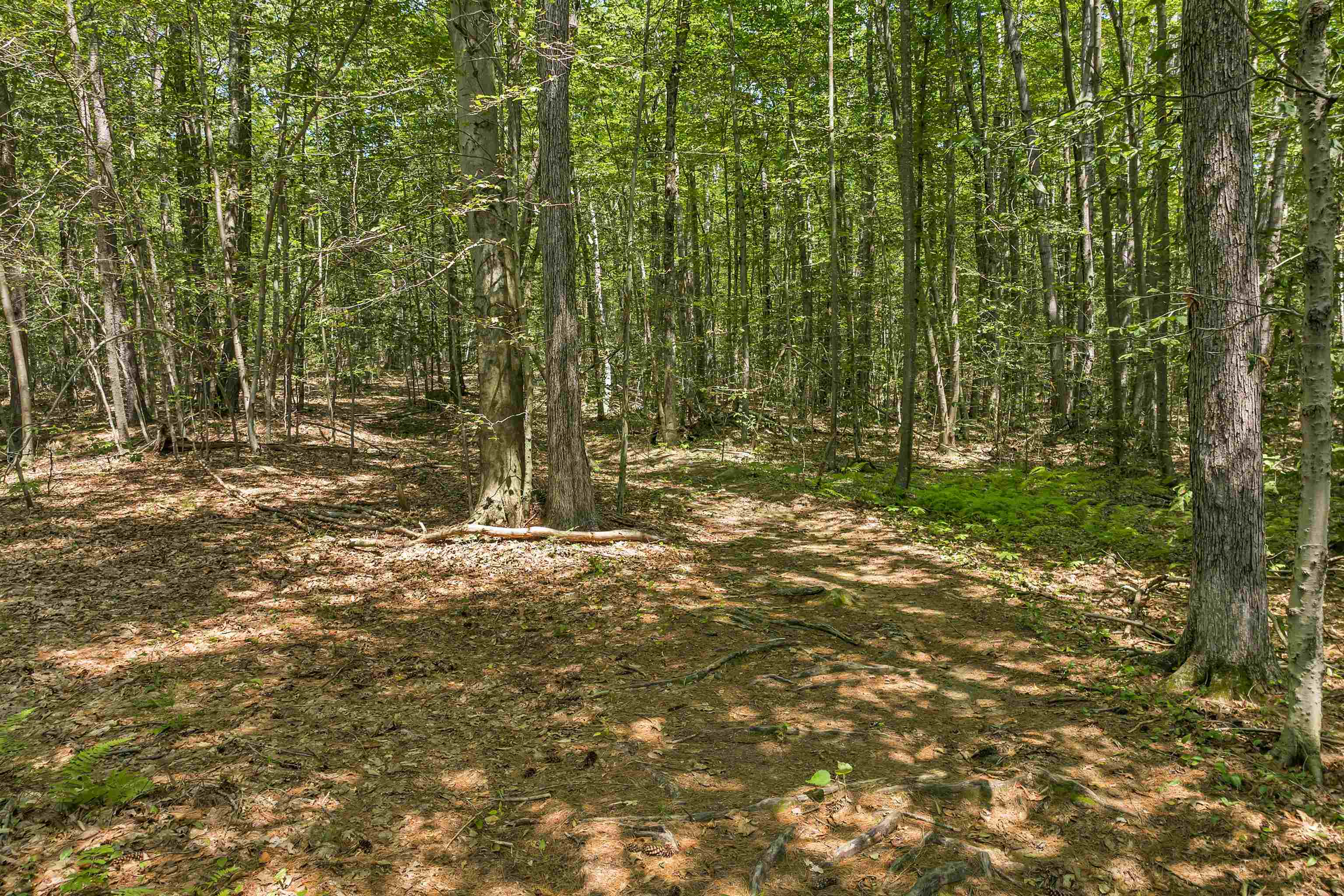 101-125 Winslow Road Weare, NH 03281 - Photo 2 of 22