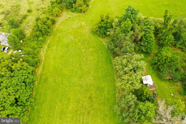a view of yard with green space