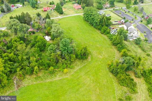 a view of a yard with a swimming pool