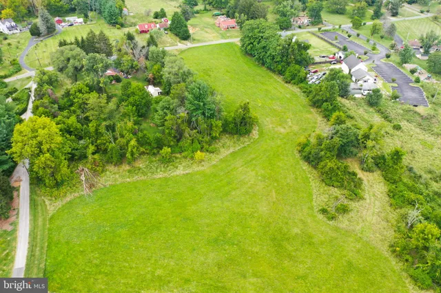 a view of a big yard with lots of flower plants and wooden floor