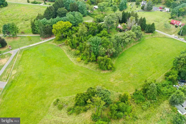 a view of a yard with plants