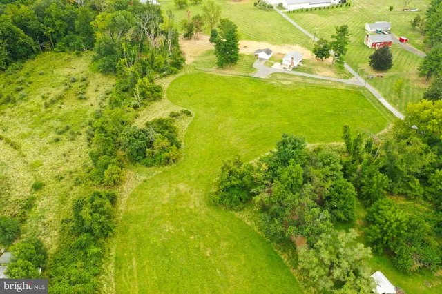 a view of a garden with an outdoor space