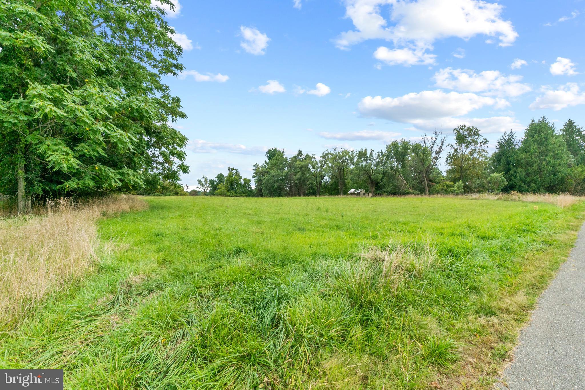 Rices Lane Windsor Mill, MD 21244 - Photo 5 of 22 a backyard of a house with lots of green space and bushes