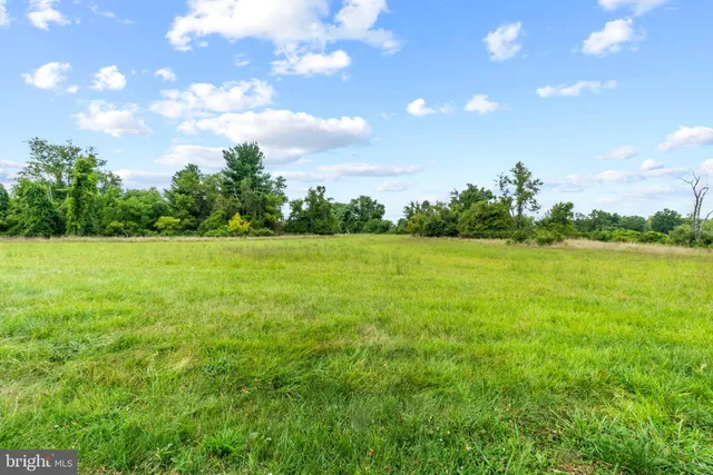 a view of a big yard with large trees