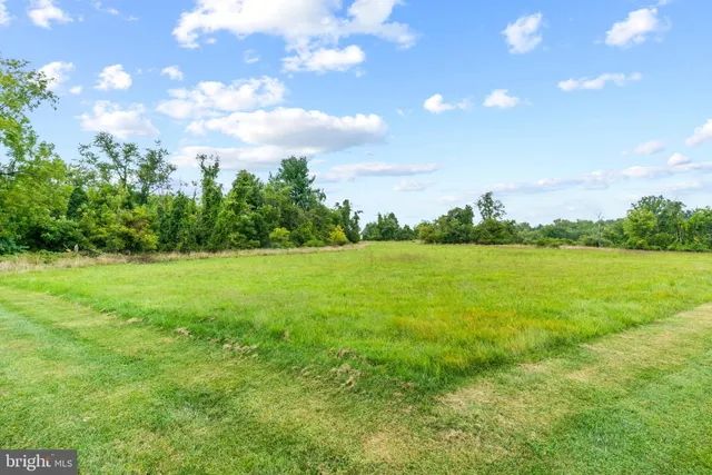 a view of a big yard