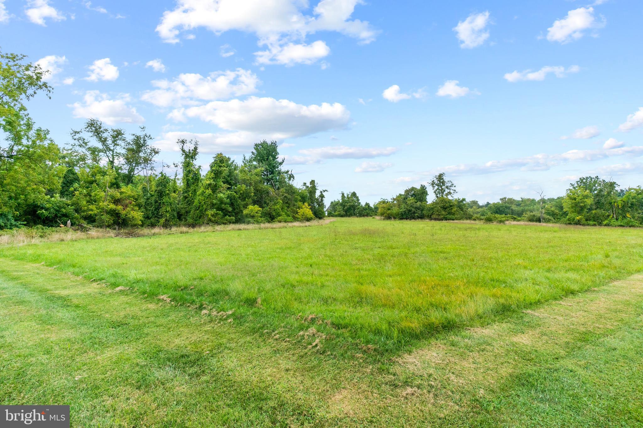 Rices Lane Windsor Mill, MD 21244 - Photo 10 of 22 a view of a garden with an outdoor space