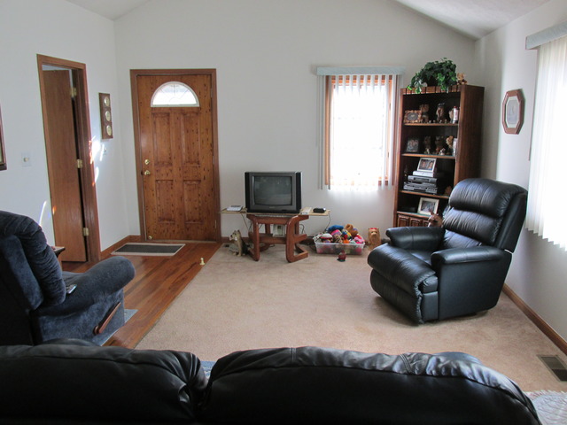 108 South Wormley Street Ransom, IL 60470 - Photo 3 of 11
