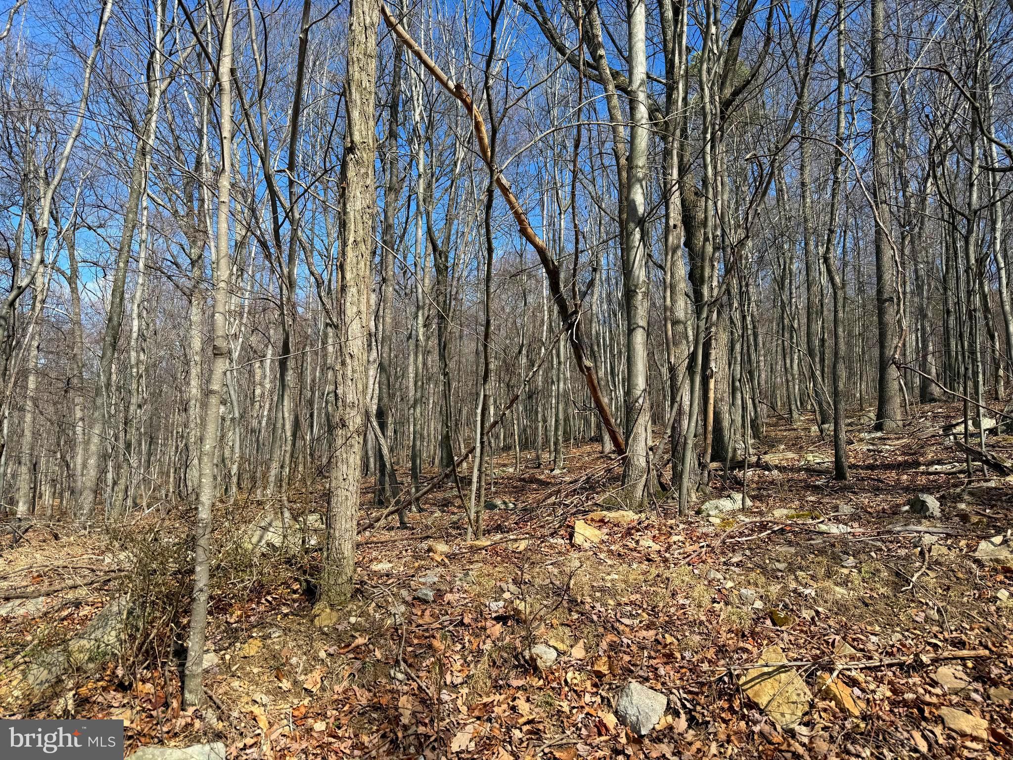 Lot 63 High Mountain View Road Romney, WV 26757 - Photo 2 of 3 a backyard of a house with lots of green space