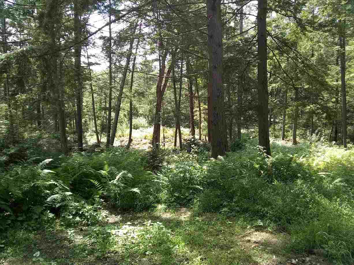 751 Jaffrey Road Marlborough, NH 03455 - Photo 33 of 34 Gallery Image 33
