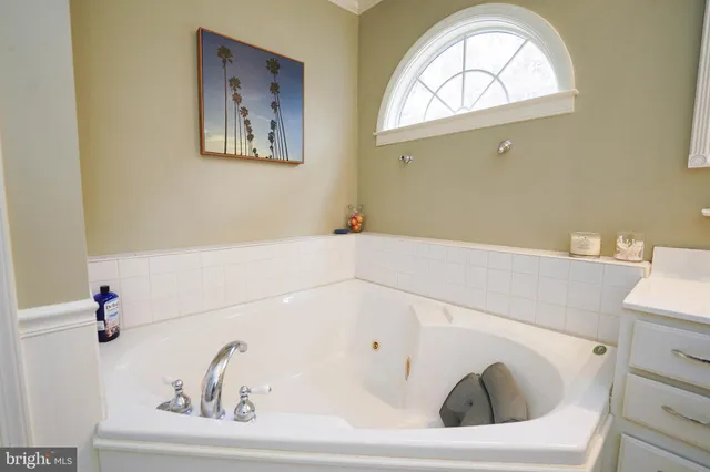 a view of a park with large trees