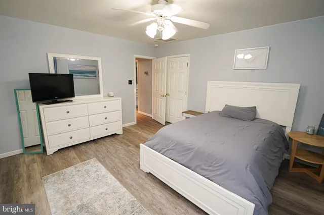 a view of a dry yard with a tree