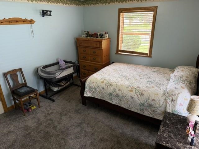 101 North Ray Road Fremont, IN 46737 - Photo 12 of 20