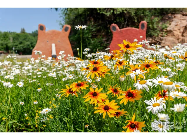 $855,000 | 209 Ewald Avenue, Lyons, CO 80540